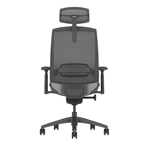 back view of Sano ergonomic chair in black color.